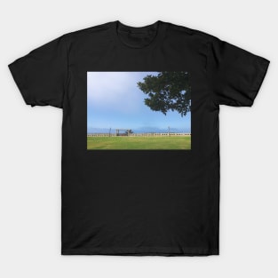 Hazy Skies Overlooking Cliffs at Point Fermin, CA T-Shirt